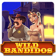 Wild Bandidos