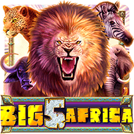 Big 5 Africa